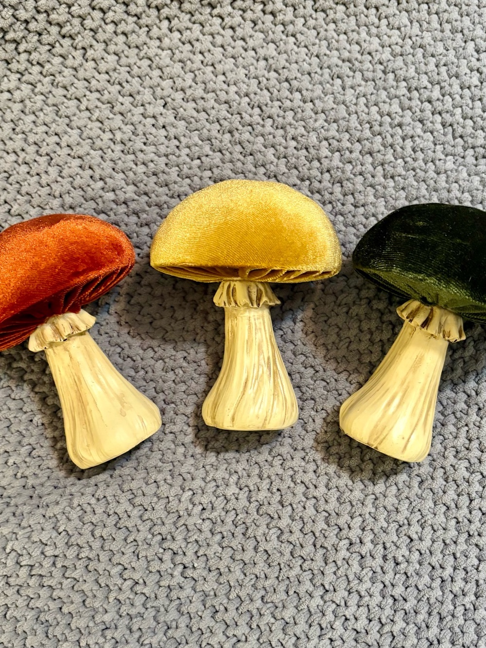3 velvet top Fall mushrooms